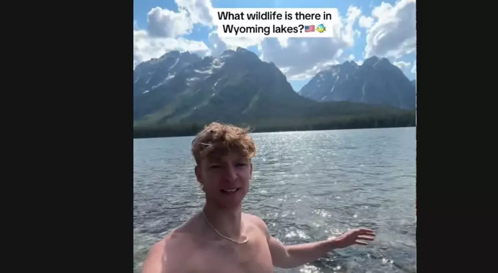 What Creatures LURK In Wyoming Teton Lakes? Tourist Wonders
